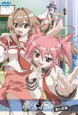 Обкладинка: аніме «Seto no Hanayome Fan Disc»