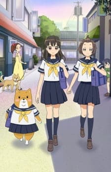 Обкладинка: аніме «Shiba Inuko-san»
