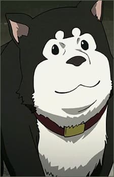 Чорний Хаяте