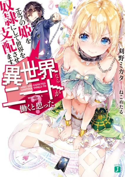 Обкладинка: ранобе «Why you expected another world to motivate a NEET?»