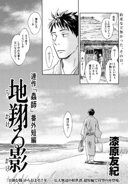 Обкладинка: манга «Mushishi Bangai Tanpen: Chi Kakeru Kage»