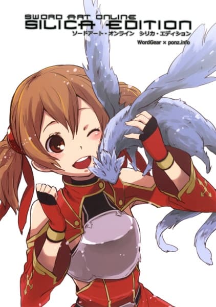 Обкладинка: манга «Sword Art Online dj - Silica Edition»