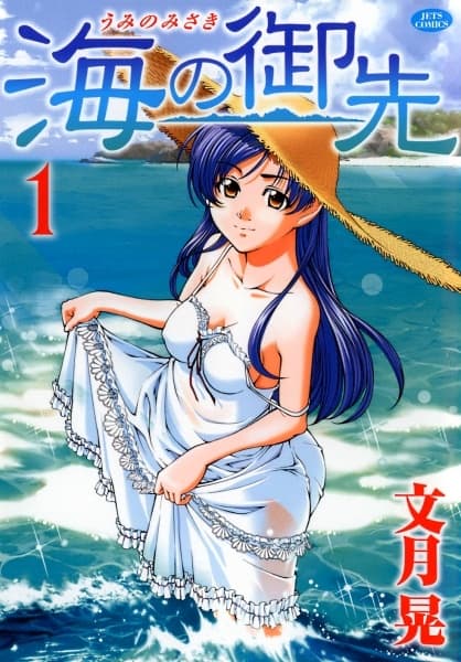 Обкладинка: манга «Umi no Misaki»