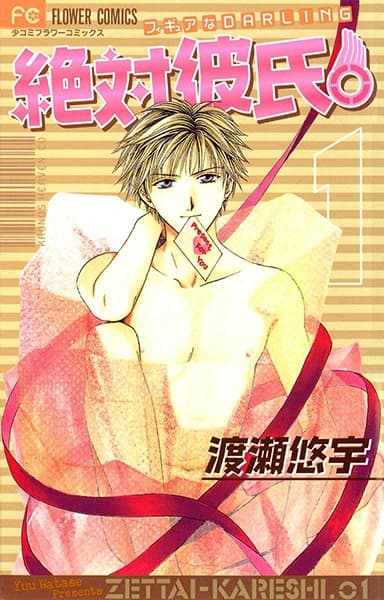 Обкладинка: манга «Absolute Boyfriend»