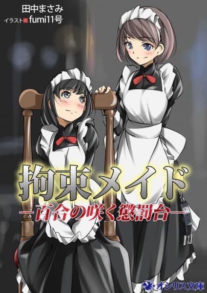 Обкладинка: ранобе «Kousoku Maid: Yuri no Saku Choubatsudai»