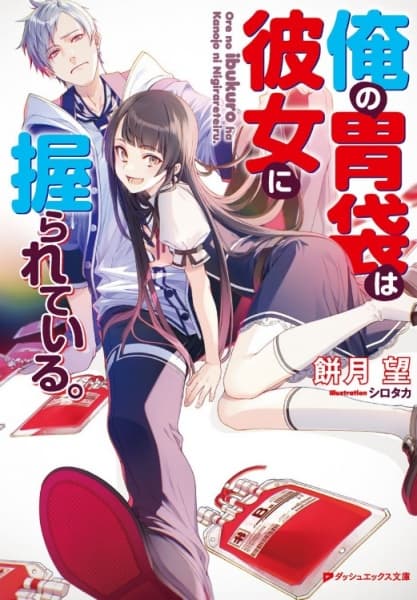 Обкладинка: ранобе «Ore no Ibukuro wa Kanojo ni Nigirareteiru.»