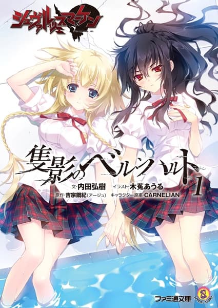 Обкладинка: ранобе «Schwarzesmarken: Sekiei no Bernhard»