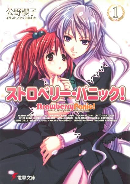 Обкладинка: ранобе «Strawberry Panic»